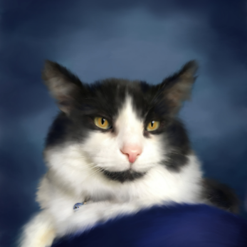 Cat Pet Portrait