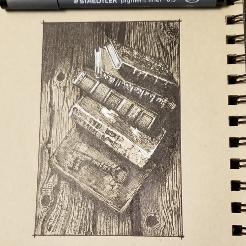 Old books in pen and ink