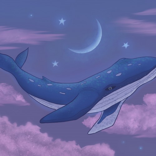 Dreaming Whale
