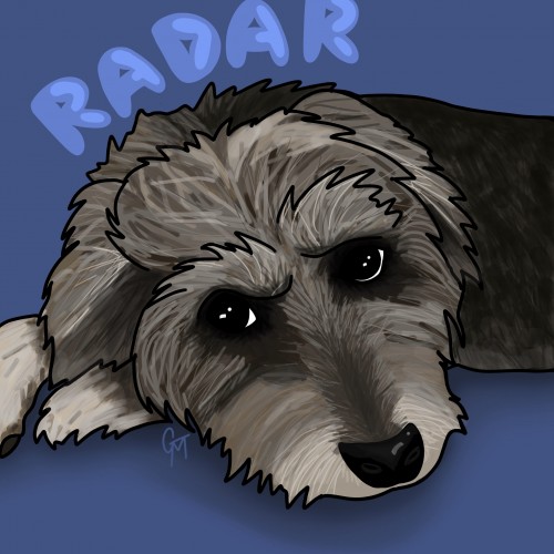 Radar the dog posing