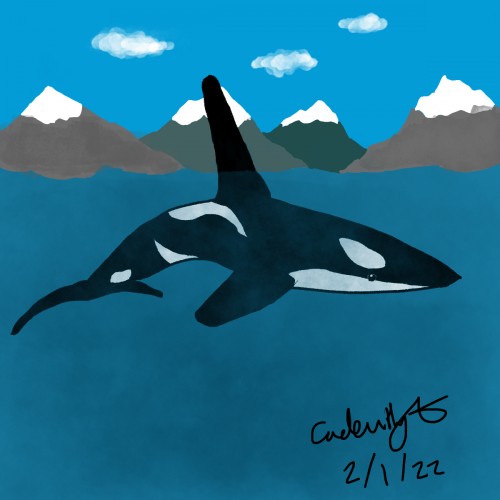 Orca