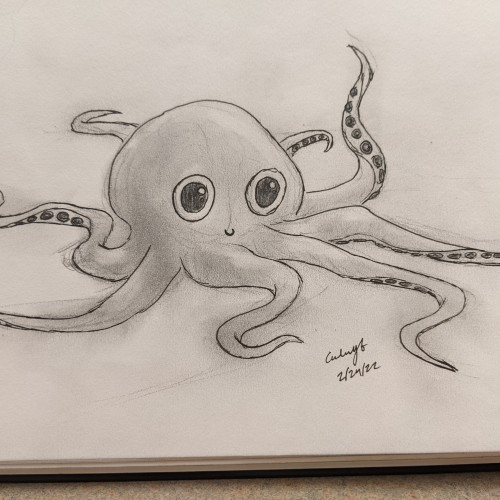 Octopus