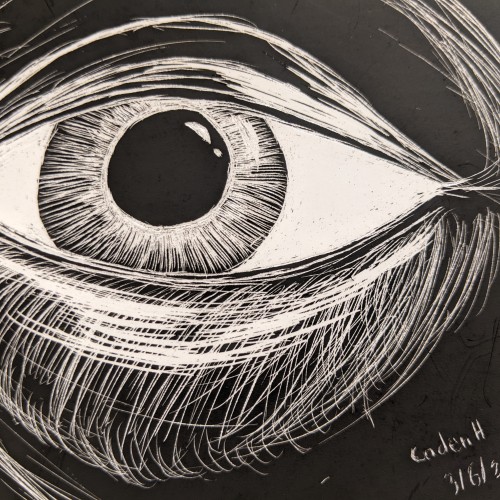 Scratchboard eye