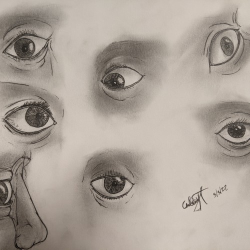 Eyes (and a nose)