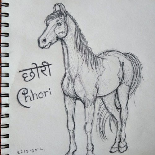 Continued Marwari Sketch