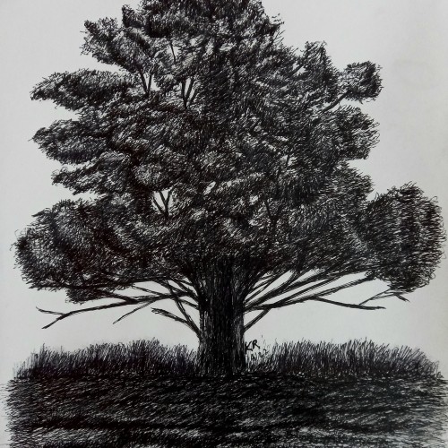 Tree(Completed)