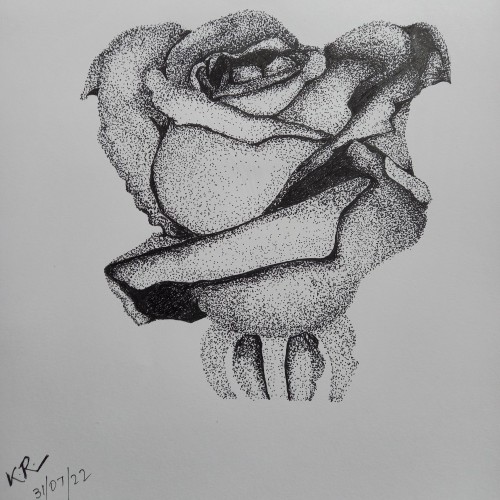 Rose(stipple art)