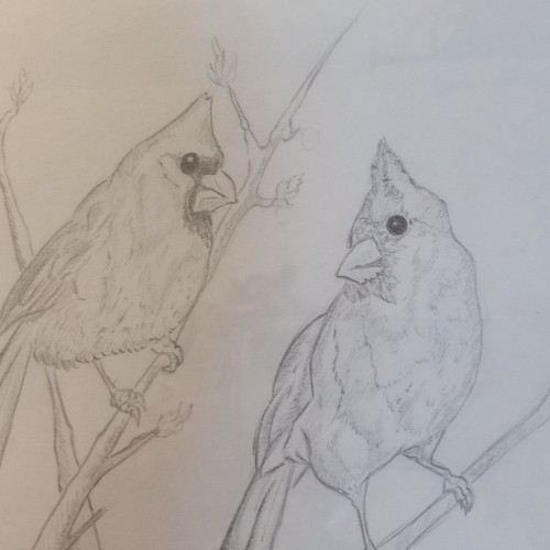 Two Cardinals