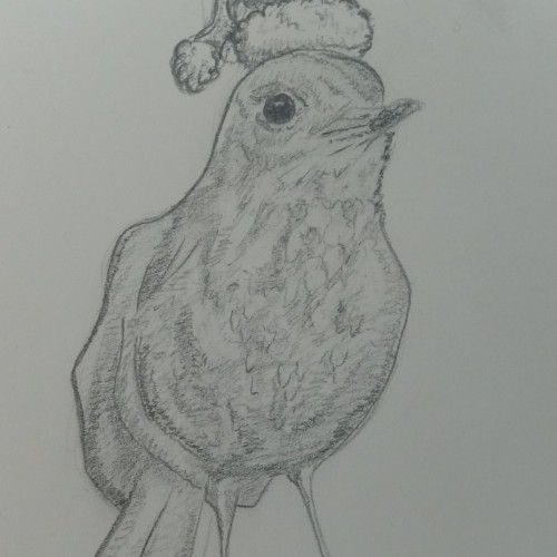 Holiday bird