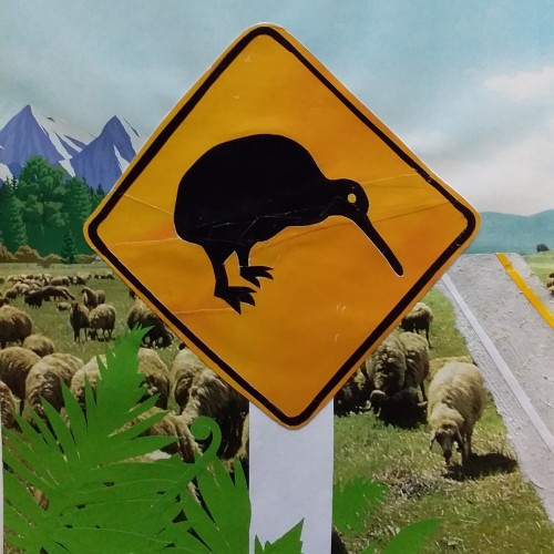 Kiwi Crossing