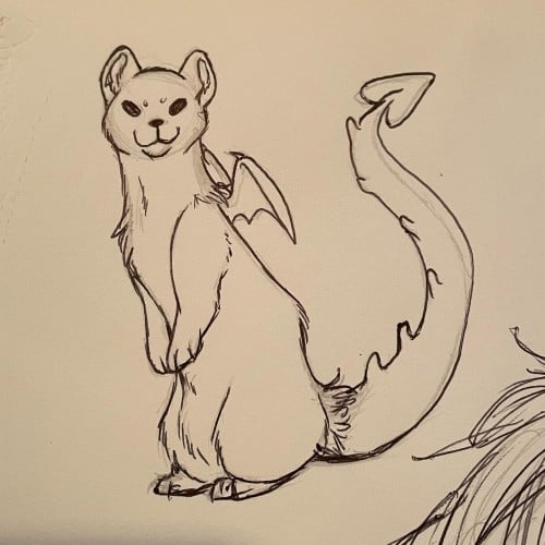 Drago-ferret