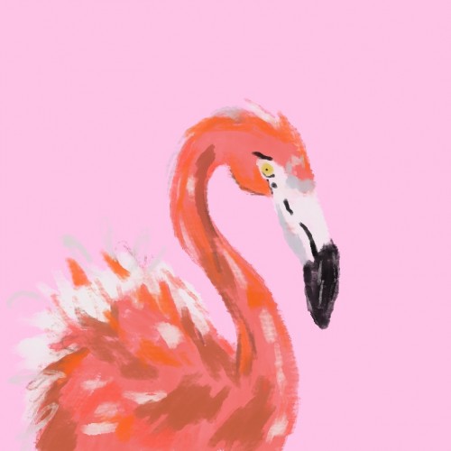 Pink flamingo