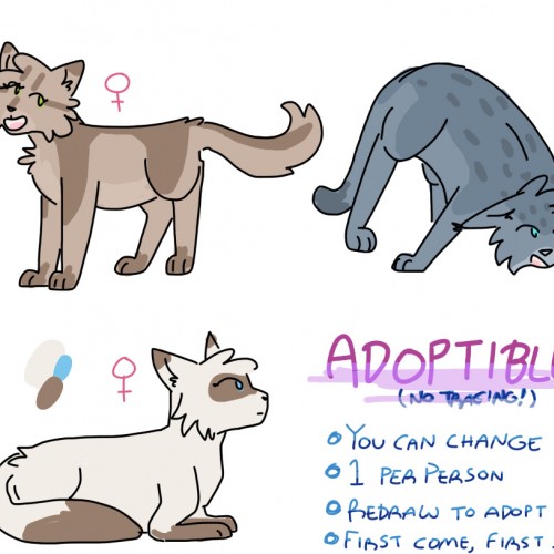 Adoptables!