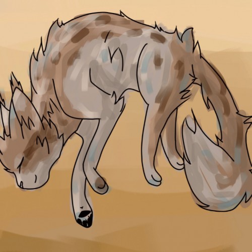 Floating Hawkpelt