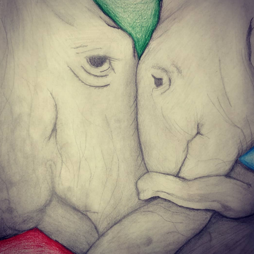 Elephants Sketch