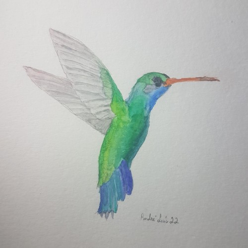 Hummingbird