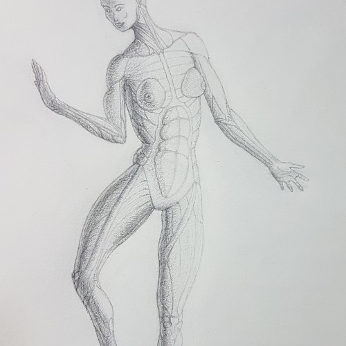 Figure drawing study