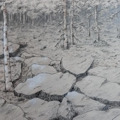 Woods Drawing2
