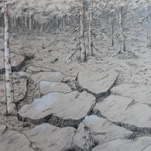 Woods Drawing2
