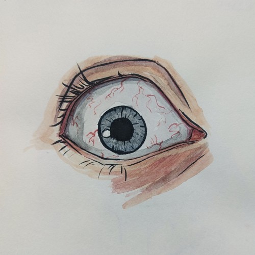 The Eye