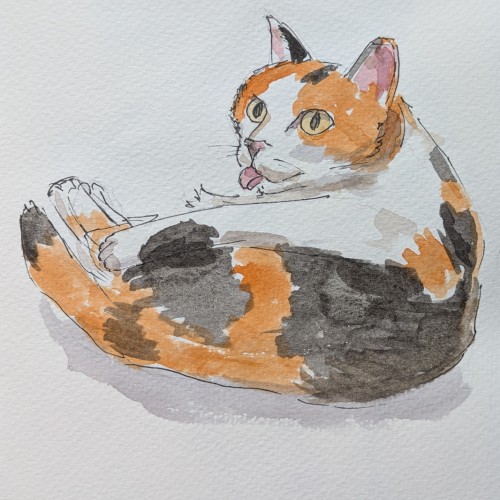 Watercolour cat