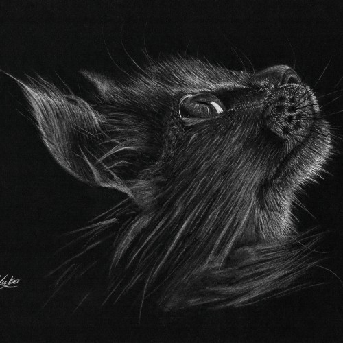 Cat A4 white charcoal