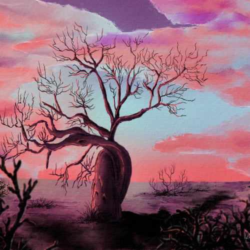Baobab Tree at Sunrise