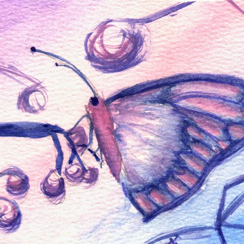 Butterfly Study 2