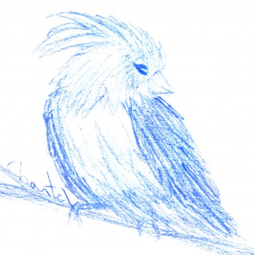 Blue Bird