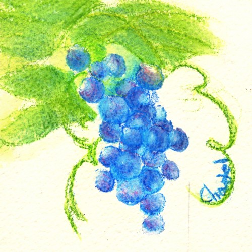 Grapes