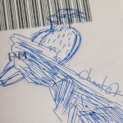 Bird Doodle