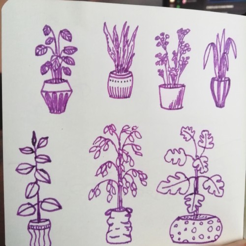 Plants.