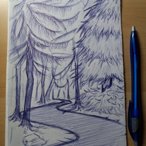 Forest Sketch