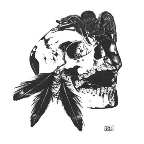 Skull, feathers and tarantula