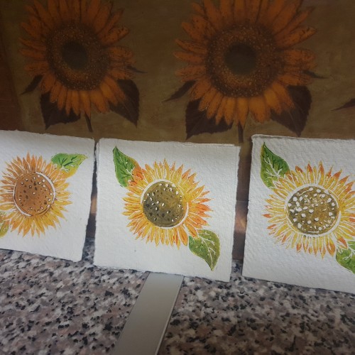 Sunflowers