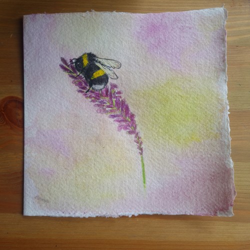 Bee on Lavender