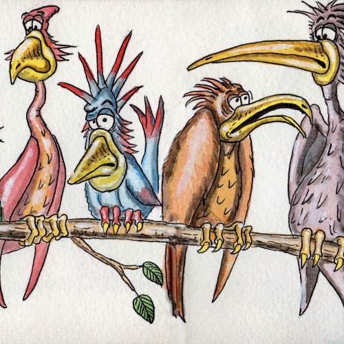 birds