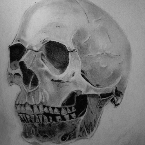 Skull