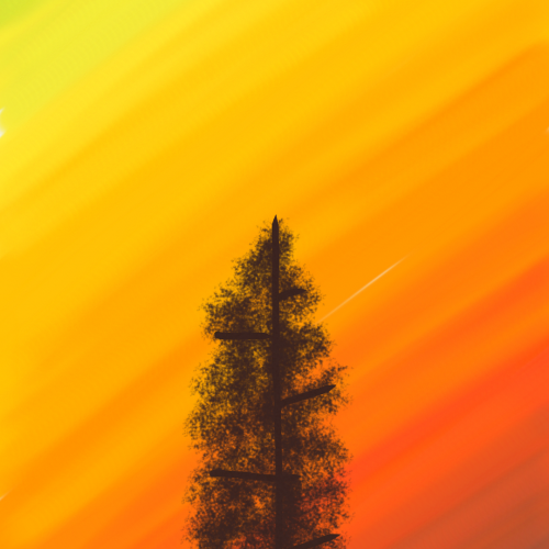 Lone tree