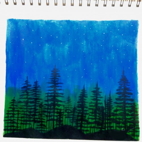 Night forest