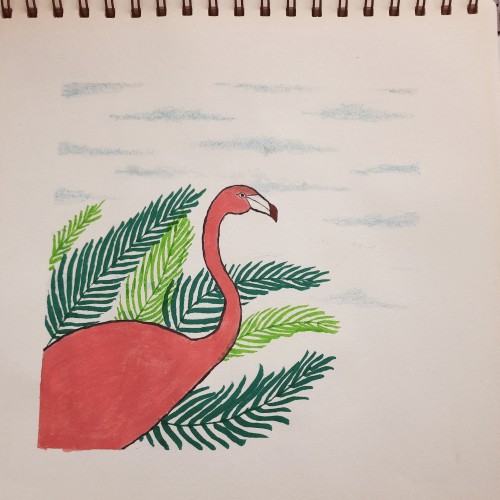 Flamingo