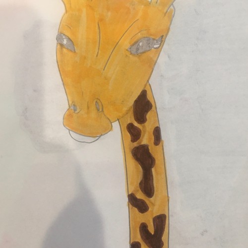 My fave GIRAFFES!