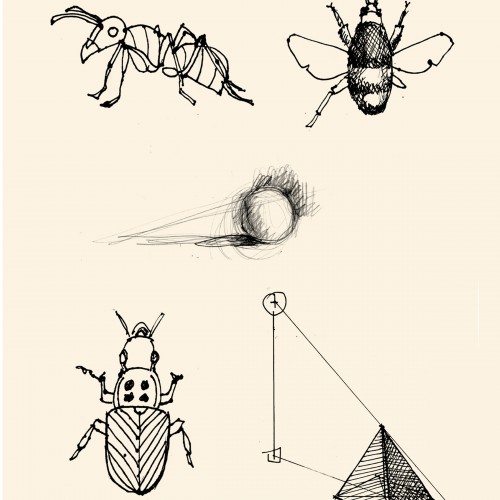 Field guide to bugs and light