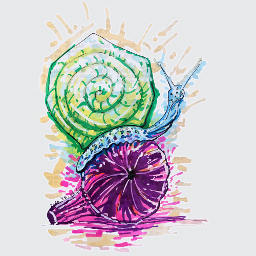 Snail in the Fig