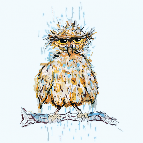 Grumpy Wet Owl