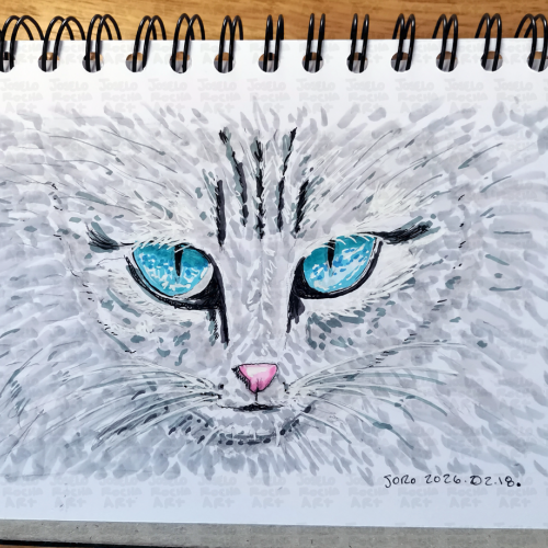 Blue Eyed Fluffy Cat