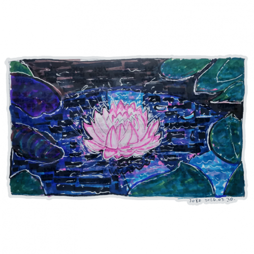 Lotus in Dark Water