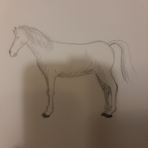 Horse