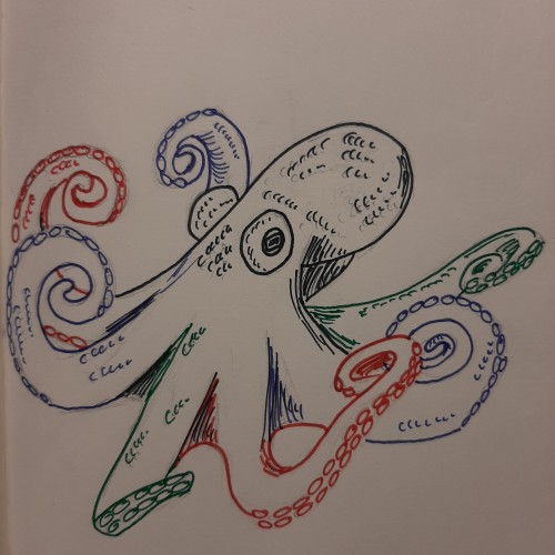 Octopus