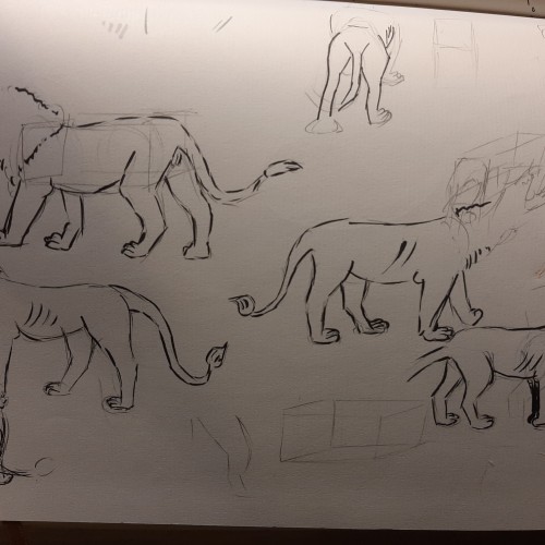 Mammel Lion perspective exercise